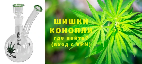 ПСИЛОЦИБИНОВЫЕ ГРИБЫ Елизово