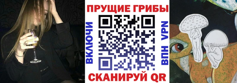 Галлюциногенные грибы прущие грибы  Купить где  Знаменск 